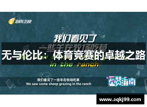 无与伦比：体育竞赛的卓越之路
