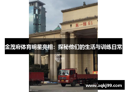 金茂府体育明星亮相：探秘他们的生活与训练日常